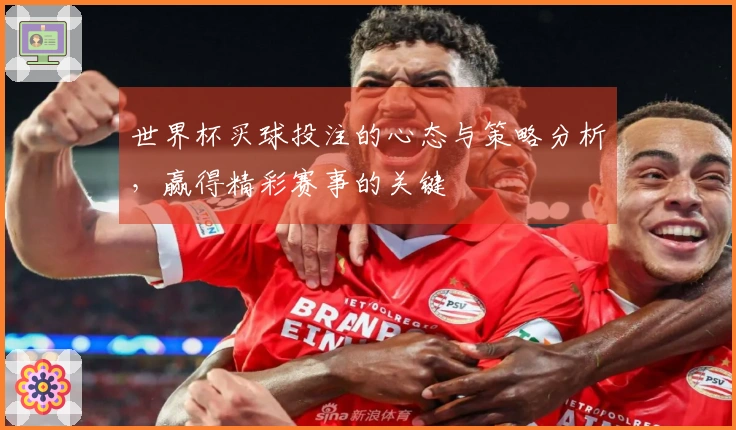世界杯买球投注的心态与策略分析，赢得精彩赛事的关键