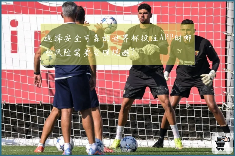 选择安全可靠的世界杯投注APP时哪些风险需要合理规避？