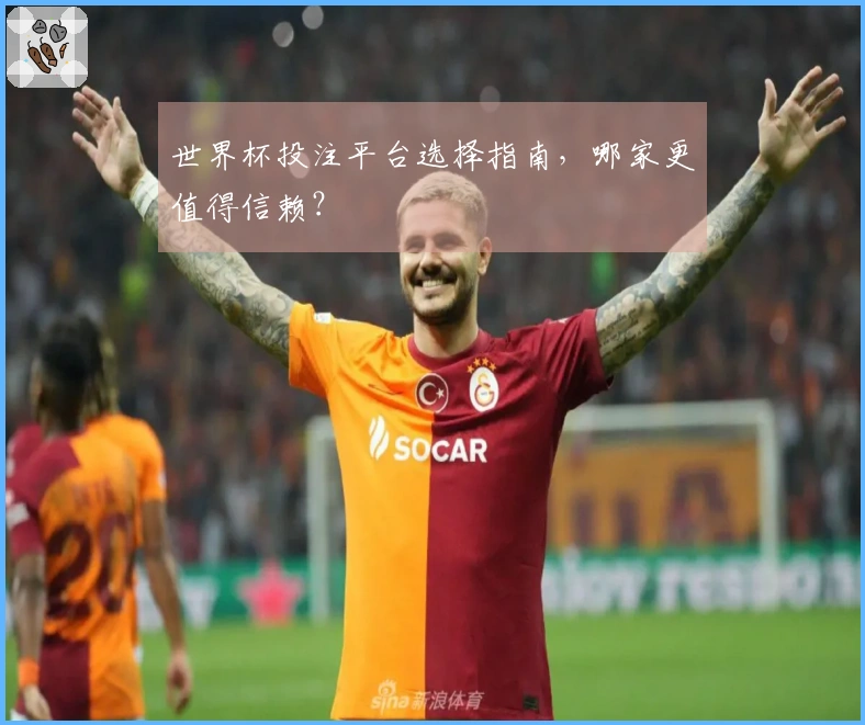 世界杯投注平台选择指南，哪家更值得信赖？