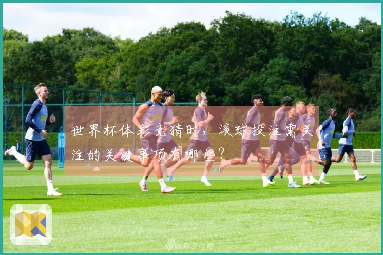 世界杯体彩竞猜时，滚球投注需关注的关键事项有哪些？