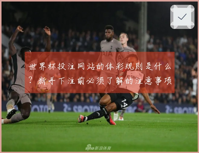 世界杯投注网站的体彩规则是什么？新手下注前必须了解的注意事项
