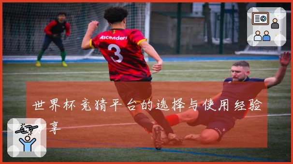 世界杯竞猜平台的选择与使用经验分享