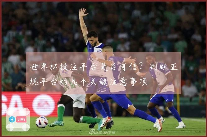 世界杯投注平台是否可信？判断正规平台的几个关键注意事项