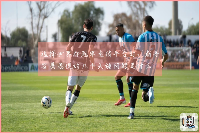 选择世界杯冠军竞猜平台时，新手容易忽视的几个关键问题是什么
