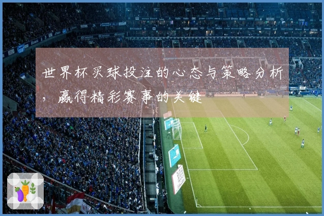 世界杯买球投注的心态与策略分析，赢得精彩赛事的关键