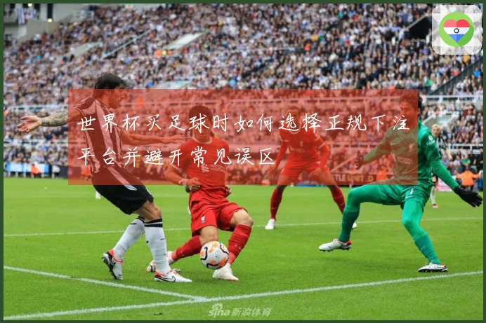 世界杯买足球时如何选择正规下注平台并避开常见误区