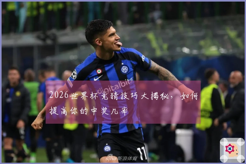 2026世界杯竞猜技巧大揭秘，如何提高你的中奖几率