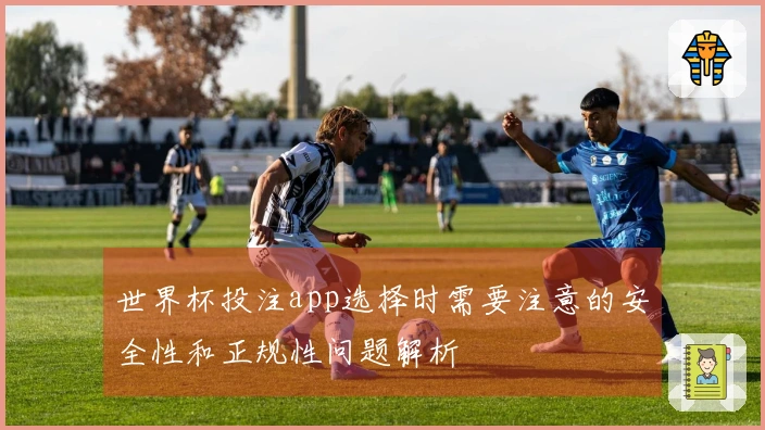 世界杯投注app选择时需要注意的安全性和正规性问题解析