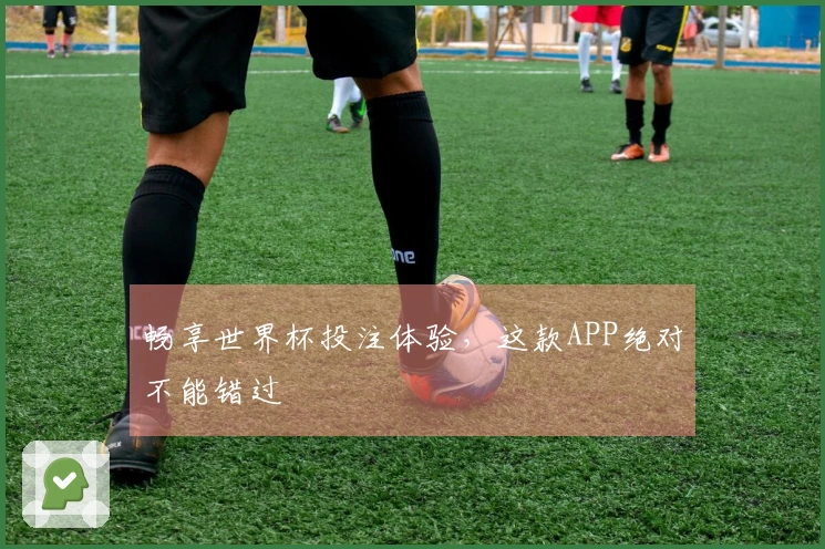 畅享世界杯投注体验，这款APP绝对不能错过