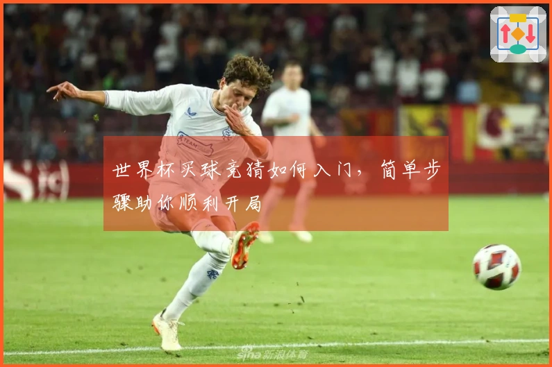 世界杯买球竞猜如何入门，简单步骤助你顺利开局