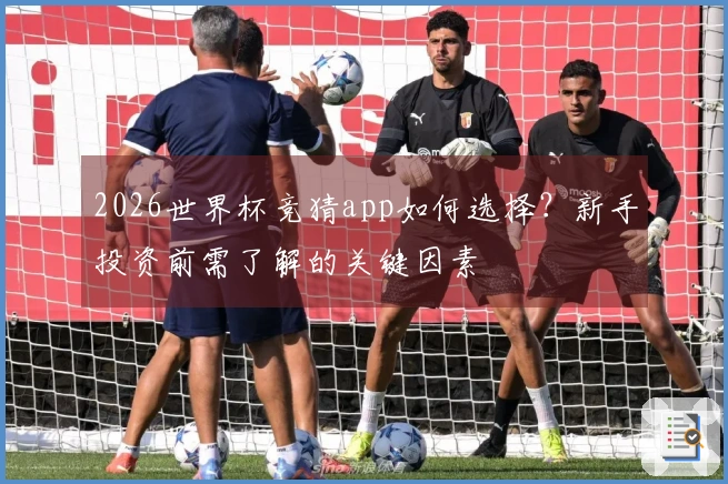 2026世界杯竞猜app如何选择？新手投资前需了解的关键因素