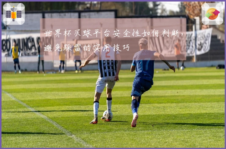 世界杯买球平台安全性如何判断，避免踩雷的实用技巧
