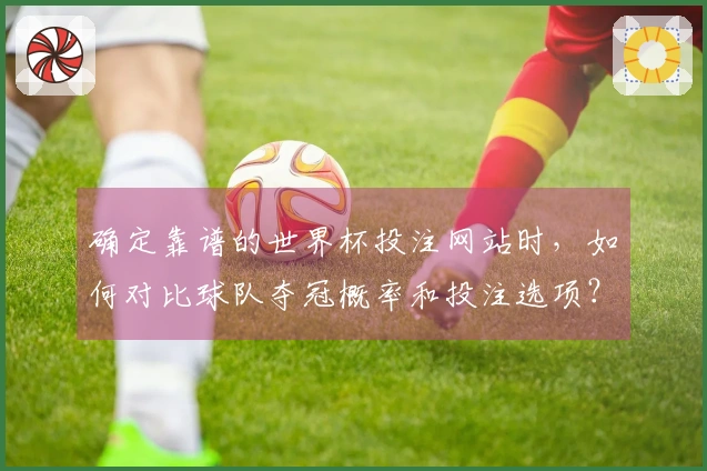 确定靠谱的世界杯投注网站时，如何对比球队夺冠概率和投注选项？