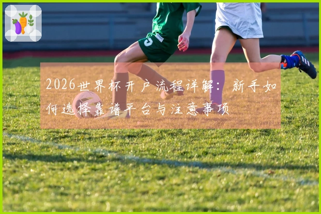 2026世界杯开户流程详解：新手如何选择靠谱平台与注意事项