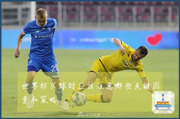 世界杯买球时应该注意哪些关键因素和策略