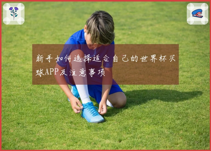 新手如何选择适合自己的世界杯买球APP及注意事项