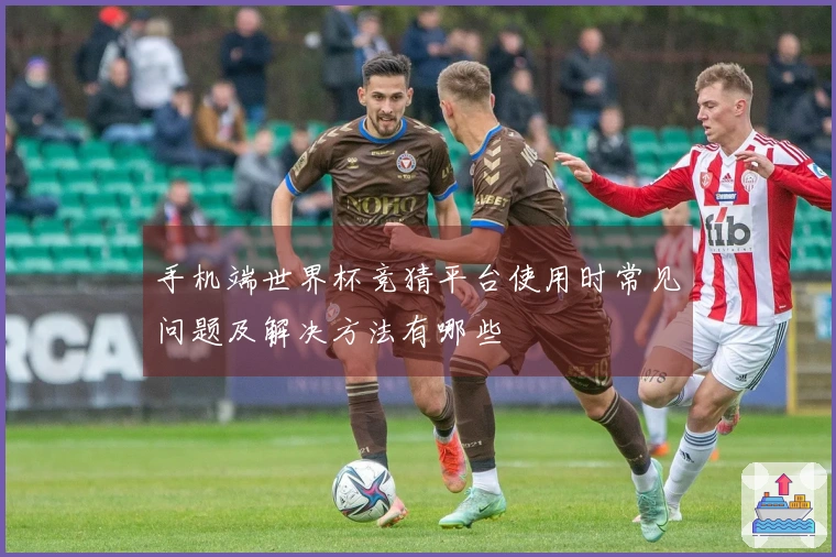 手机端世界杯竞猜平台使用时常见问题及解决方法有哪些