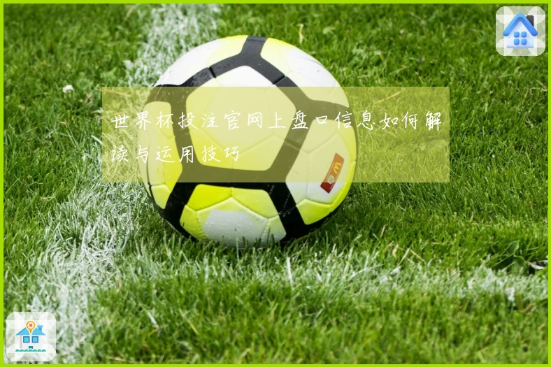 世界杯投注官网上盘口信息如何解读与运用技巧