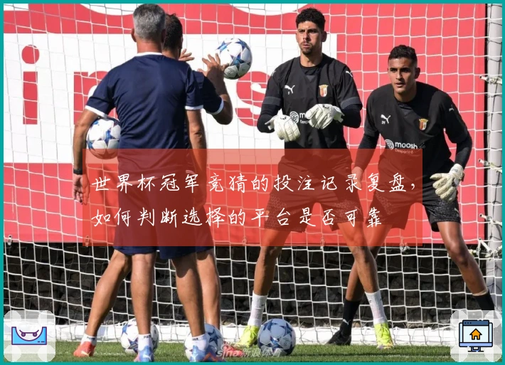 世界杯冠军竞猜的投注记录复盘，如何判断选择的平台是否可靠