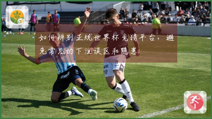 如何辨别正规世界杯竞猜平台，避免常见的下注误区和隐患