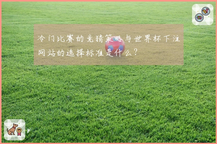 冷门比赛的竞猜策略与世界杯下注网站的选择标准是什么？