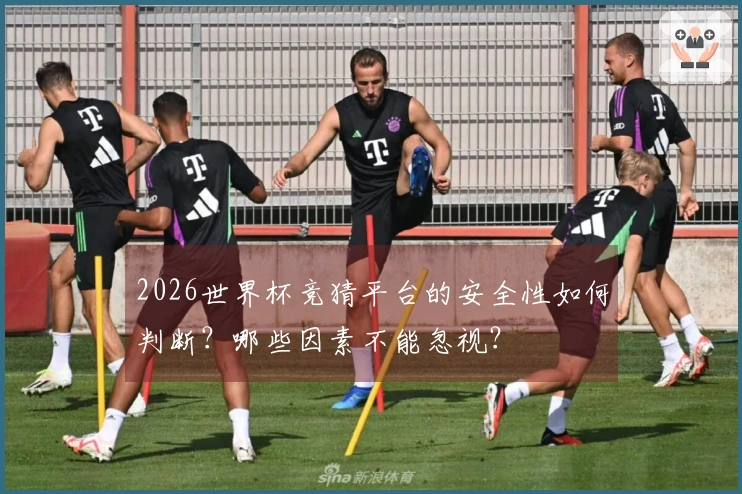 2026世界杯竞猜平台的安全性如何判断？哪些因素不能忽视？
