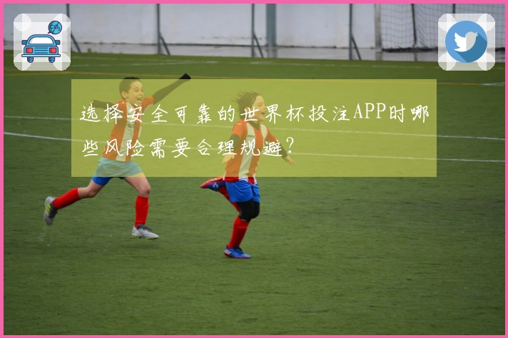 选择安全可靠的世界杯投注APP时哪些风险需要合理规避？