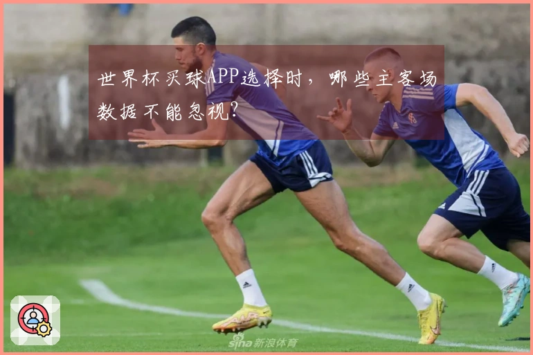 世界杯买球APP选择时，哪些主客场数据不能忽视？