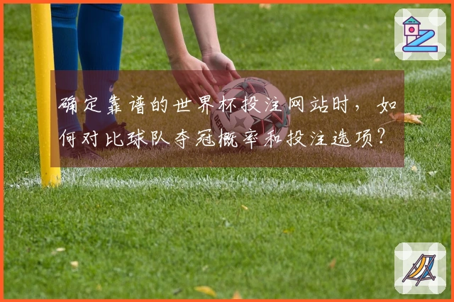 确定靠谱的世界杯投注网站时，如何对比球队夺冠概率和投注选项？