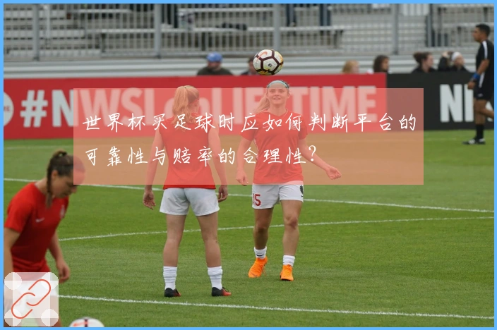 世界杯买足球时应如何判断平台的可靠性与赔率的合理性？