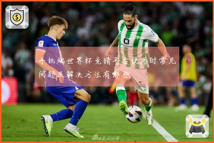 手机端世界杯竞猜平台使用时常见问题及解决方法有哪些
