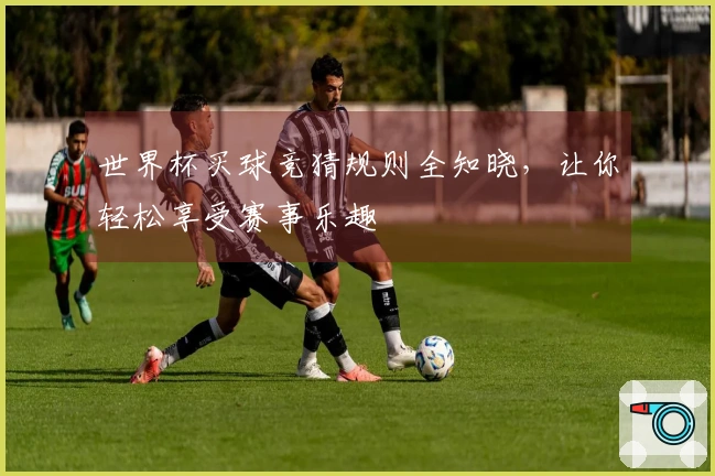 世界杯买球竞猜规则全知晓，让你轻松享受赛事乐趣